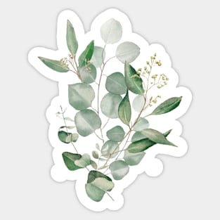 Eucalyptus botanical art Sticker